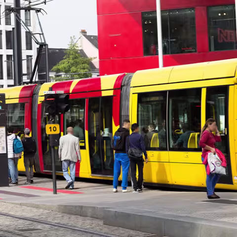 Comportement à l'approche du tram