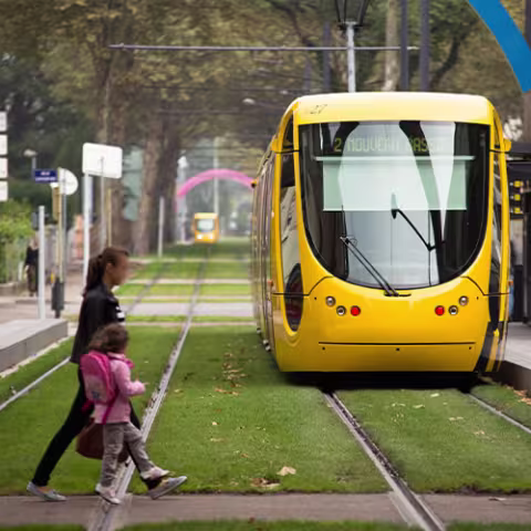 Traversée des voies de circulation du tram par les pietons